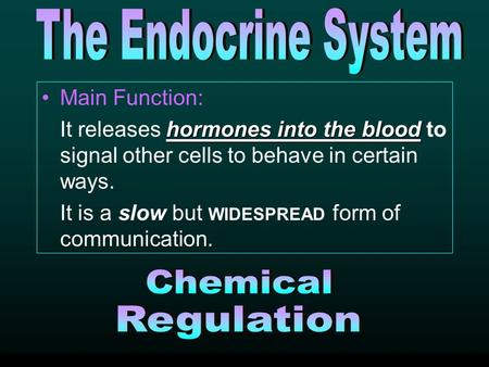 Main Function: hormones into the blood It releases hormones into the blood to signal other cells to behave in certain ways. It is a slow but WIDESPREAD.
