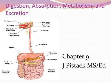 Digestion, Absorption, Metabolism, and Excretion Chapter 9 J Pistack MS/Ed.
