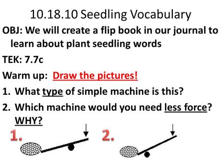 10.18.10 Seedling Vocabulary OBJ: We will create a flip book in our journal to learn about plant seedling words TEK: 7.7c Warm up: Draw the pictures!