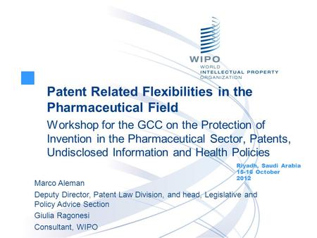 Patent Related Flexibilities in the Pharmaceutical Field