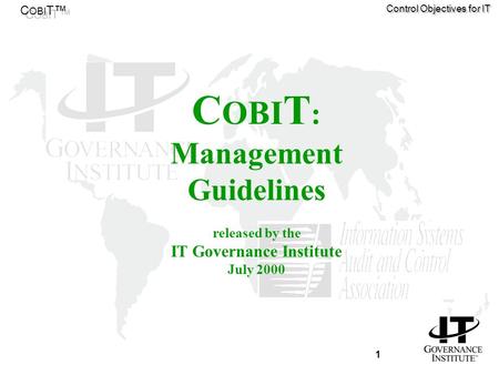Management Guidelines IT Governance Institute