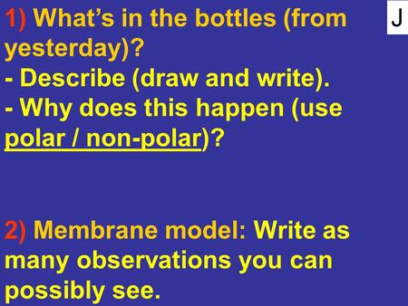 J 1) What’s in the bottles (from yesterday)? - Describe (draw and write). - Why does this happen (use polar / non-polar)? 2) Membrane model: Write as many.