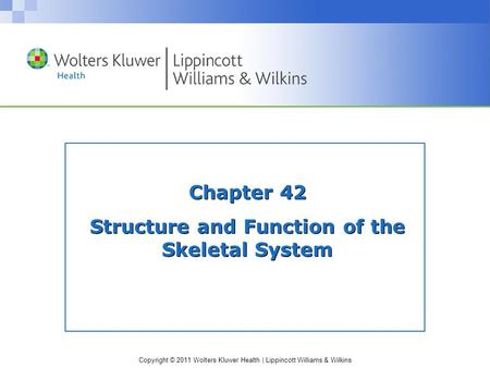 Copyright © 2011 Wolters Kluwer Health | Lippincott Williams & Wilkins Chapter 42 Structure and Function of the Skeletal System.