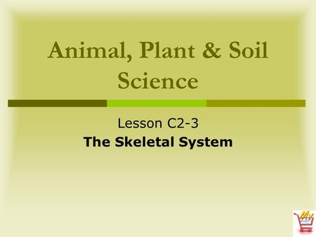 Animal, Plant & Soil Science Lesson C2-3 The Skeletal System.