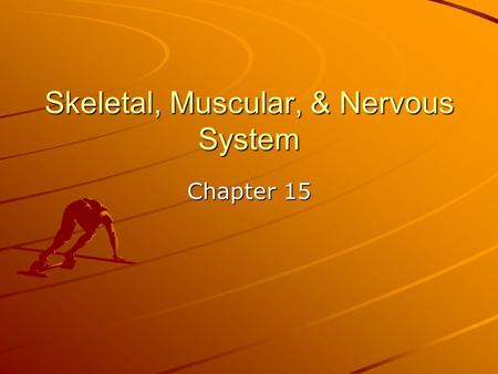 Skeletal, Muscular, & Nervous System