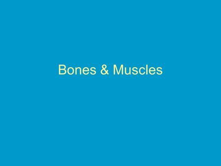 Bones & Muscles. Functions of the skeletal system.
