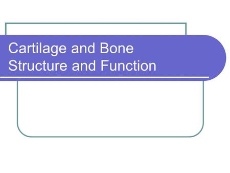 Cartilage and Bone Structure and Function. Bones.