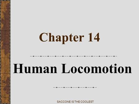SACCONE IS THE COOLEST Chapter 14 Human Locomotion.