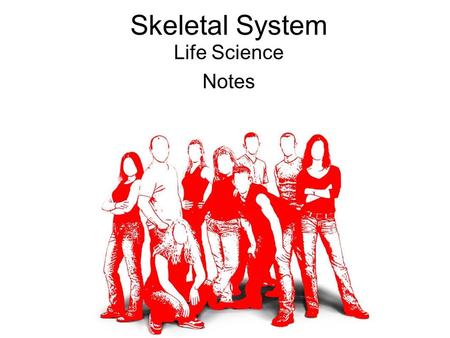 Skeletal System Life Science Notes.