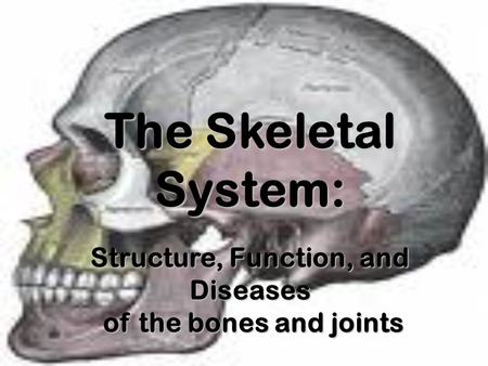 Structure, Function, and Diseases