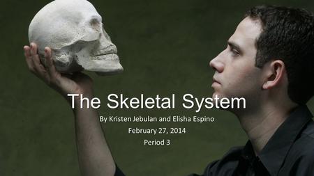 The Skeletal System By Kristen Jebulan and Elisha Espino February 27, 2014 Period 3.