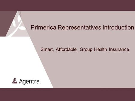 Primerica Representatives Introduction Smart, Affordable, Group Health Insurance 1.