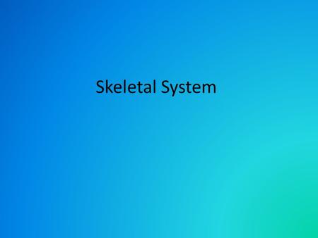 Skeletal System. Facts 350 bones at birth 206 bones as an adult.