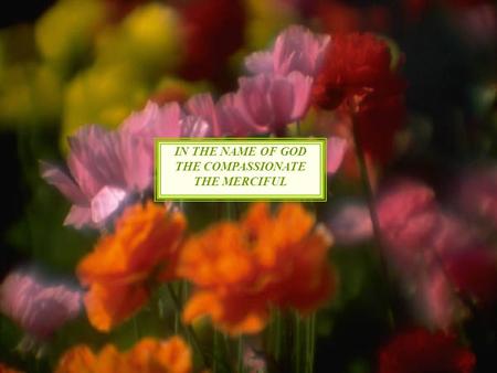 IN THE NAME OF GOD THE COMPASSIONATE THE MERCIFUL.