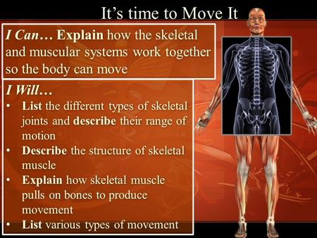 It’s time to Move It I Can… Explain how the skeletal and muscular systems work together so the body can move I Will… List the different types of skeletal.