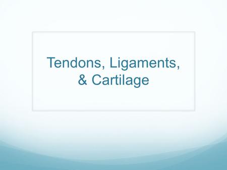 Tendons, Ligaments, & Cartilage