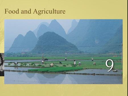 Food and Agriculture. Land Use 11% of the earth’s land is used in agricultural production –Less land cultivated in NA now than 100 years ago.