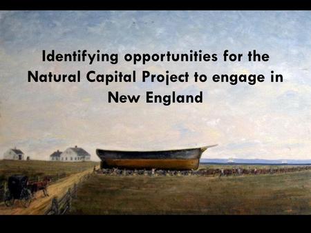 Identifying opportunities for the Natural Capital Project to engage in New England.