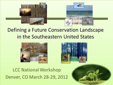 LCC National Workshop Denver, CO March 28-29, 2012 Defining a Future Conservation Landscape in the Southeastern United States.