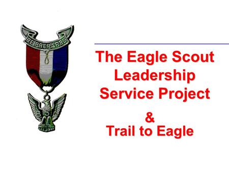 The Eagle Scout Leadership Service Project