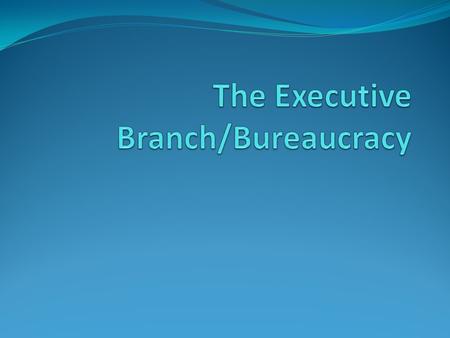 The Executive Branch/Bureaucracy
