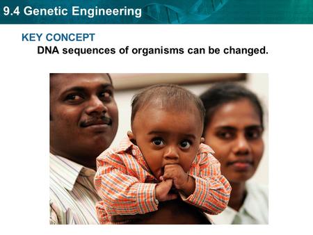 KEY CONCEPT  DNA sequences of organisms can be changed.