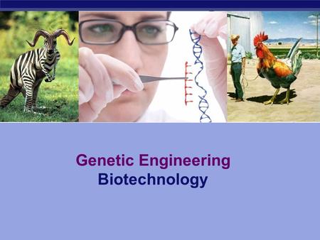 Genetic Engineering Biotechnology The manipulation of a trait in an organism to create a desired change What is Genetic Engineering?