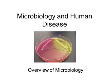 Microbiology and Human Disease Overview of Microbiology.