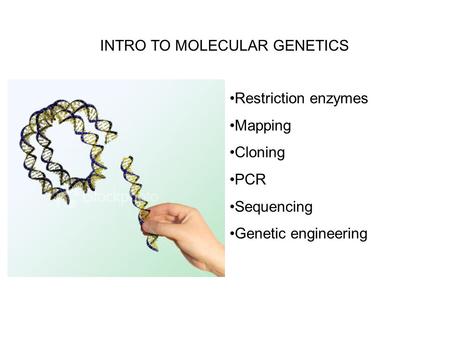 INTRO TO MOLECULAR GENETICS Restriction enzymes Mapping Cloning PCR Sequencing Genetic engineering.