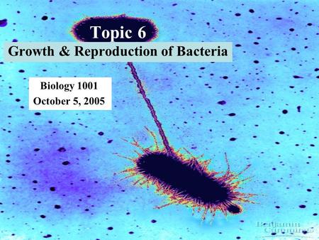Topic 6 Growth & Reproduction of Bacteria