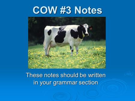 COW #3 Notes These notes should be written in your grammar section.