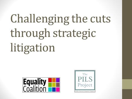 Challenging the cuts through strategic litigation.