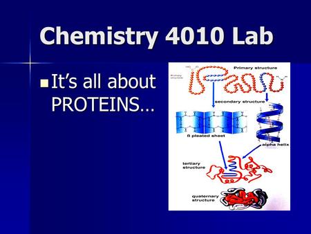 Chemistry 4010 Lab It’s all about PROTEINS… It’s all about PROTEINS…