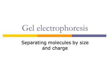 Gel electrophoresis Separating molecules by size and charge.