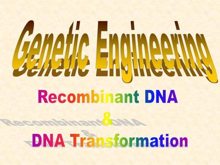 Plasmid DNA Restriction Enzymes “cut” Plasmid DNA Piece of DNA is Removed New Piece (gene) of DNA is “stitched” to Plasmid DNA New DNA (gene)