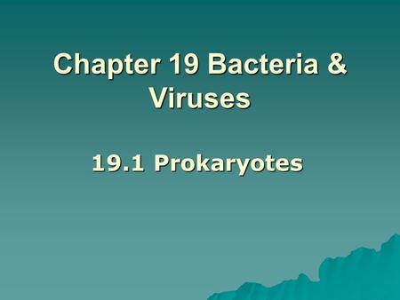 Chapter 19 Bacteria & Viruses 19.1 Prokaryotes.  Single-celled  Lack nucleus  Smallest, most common microorganism.