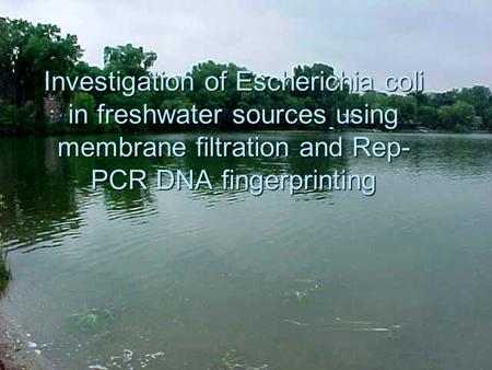 Investigation of Escherichia coli in freshwater sources using membrane filtration and Rep- PCR DNA fingerprinting.