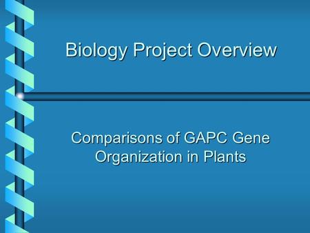Biology Project Overview Comparisons of GAPC Gene Organization in Plants.