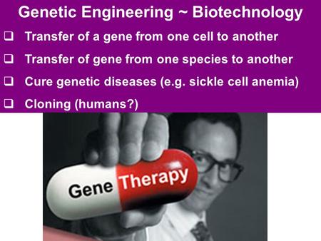 Genetic Engineering ~ Biotechnology  Transfer of a gene from one cell to another  Transfer of gene from one species to another  Cure genetic diseases.