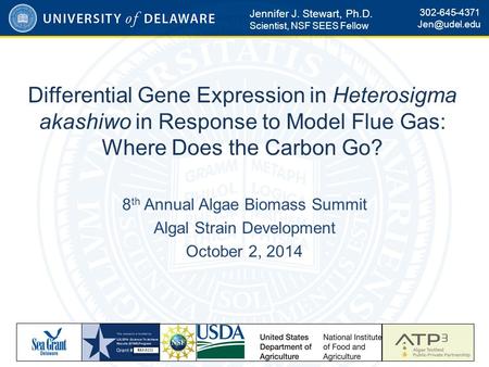 Differential Gene Expression in Heterosigma akashiwo in Response to Model Flue Gas: Where Does the Carbon Go? 8 th Annual Algae Biomass Summit Algal Strain.