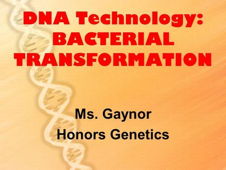 DNA Technology: BACTERIAL TRANSFORMATION Ms. Gaynor Honors Genetics.
