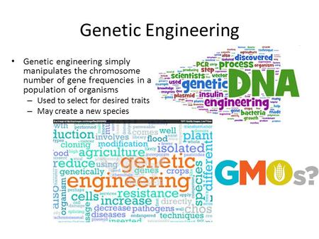 Genetic Engineering Genetic engineering simply manipulates the chromosome number of gene frequencies in a population of organisms – Used to select for.