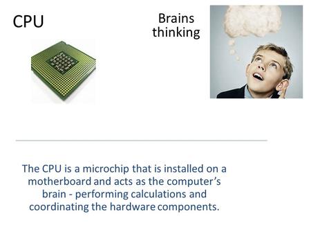 CPU The CPU is a microchip that is installed on a motherboard and acts as the computer’s brain - performing calculations and coordinating the hardware.