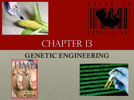 Chapter 13 GENETIC ENGINEERING.