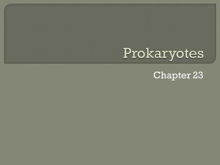 Chapter 23.  Cellular organisms  In one of two domains: Archaea and Eubacteria  Generally smaller than eukaryotes  Most are unicellular, some form.
