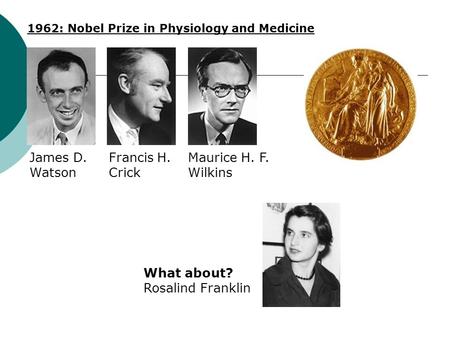 1962: Nobel Prize in Physiology and Medicine James D. Watson Francis H. Crick Maurice H. F. Wilkins What about? Rosalind Franklin.