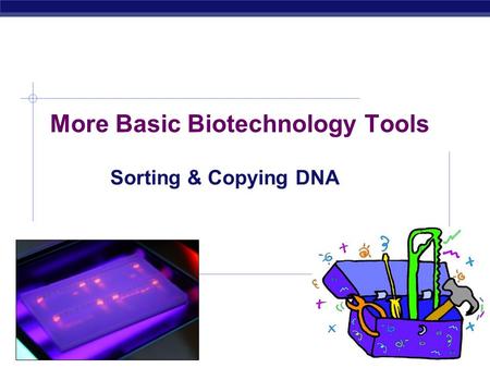 AP Biology 2007-2008 More Basic Biotechnology Tools Sorting & Copying DNA.