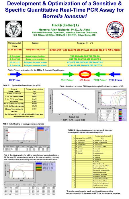 Development & Optimization of a Sensitive & Specific Quantitative Real-Time PCR Assay for Borrelia lonestari HaoQi (Esther) Li Mentors: Allen Richards,