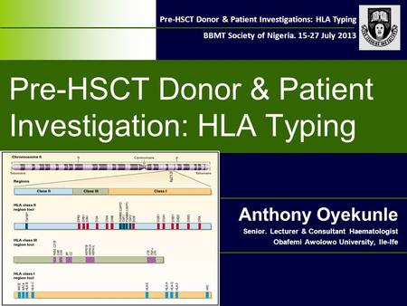 Pre-HSCT Donor & Patient Investigations: HLA Typing BBMT Society of Nigeria. 15-27 July 2013 Pre-HSCT Donor & Patient Investigation: HLA Typing Anthony.