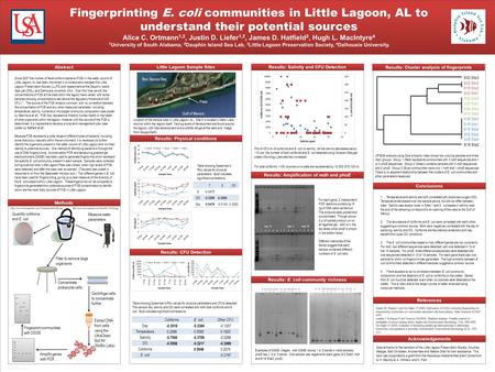 TEMPLATE DESIGN © 2008 www.PosterPresentations.com Fingerprinting E. coli communities in Little Lagoon, AL to understand their potential sources Alice.